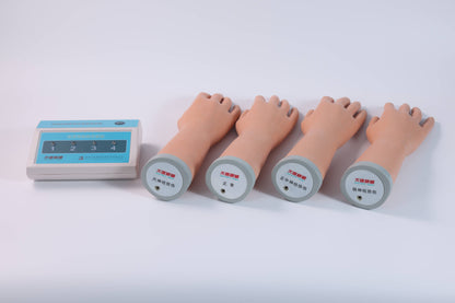 Forearm Nerve Examination Model