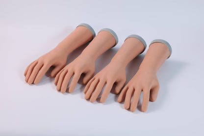 Forearm Nerve Examination Model