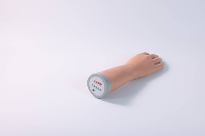 Forearm Nerve Examination Model