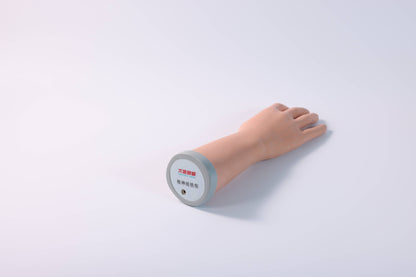Forearm Nerve Examination Model
