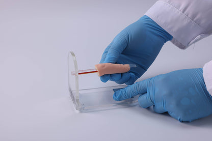 Nail Removal Trainer
