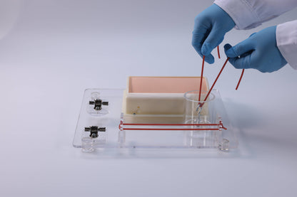 Multi-skill Surgical Training Simulator