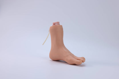 Lower Limb Venous Incision Model