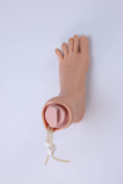 Lower Limb Venous Incision Model