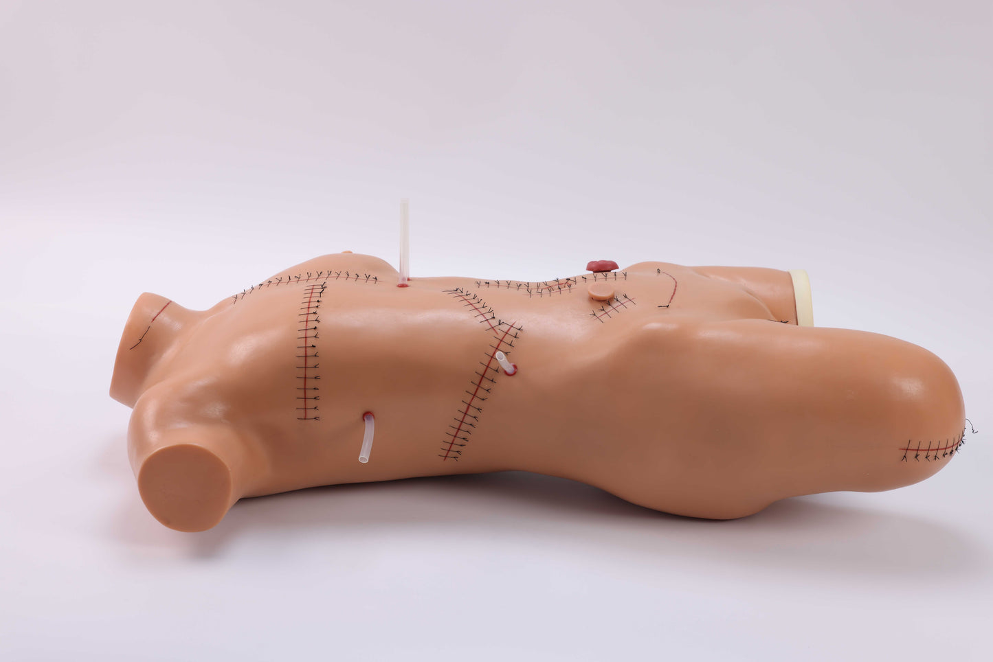 Suturing & Dressing Demonstration Model