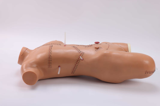 Suturing & Dressing Demonstration Model