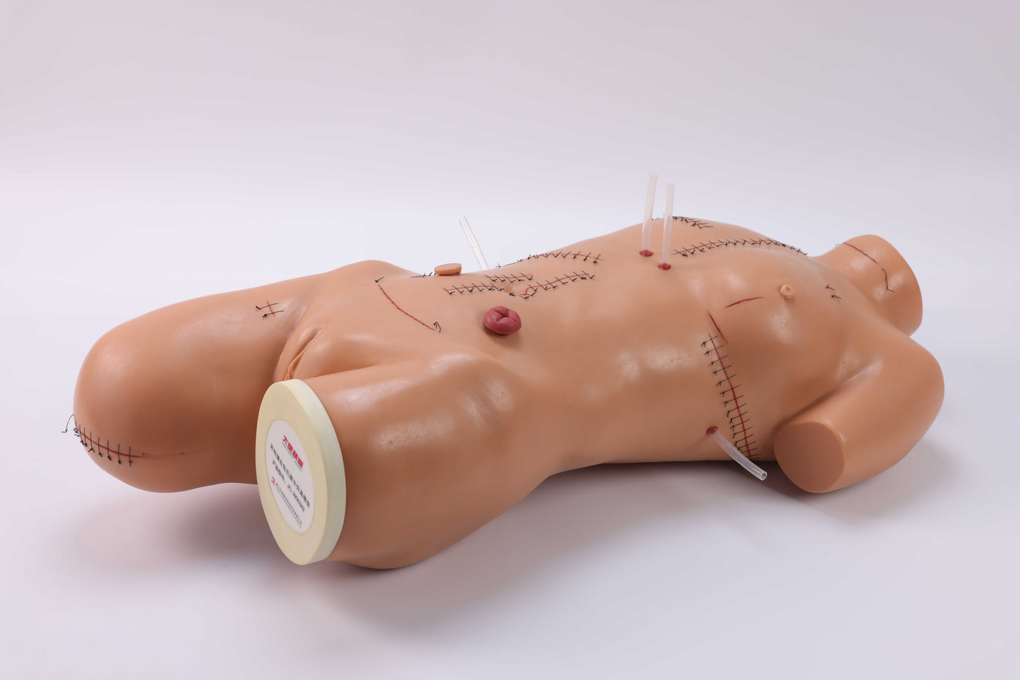 Suturing & Dressing Demonstration Model