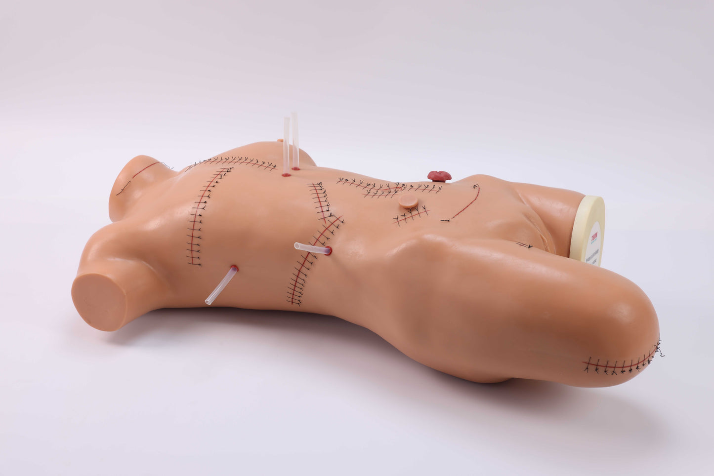 Suturing & Dressing Demonstration Model
