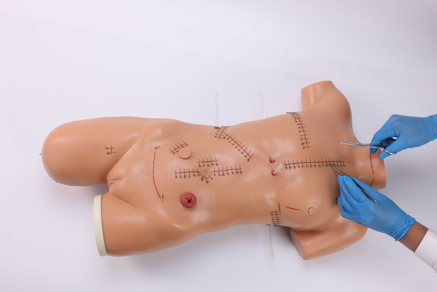 Suturing & Dressing Demonstration Model