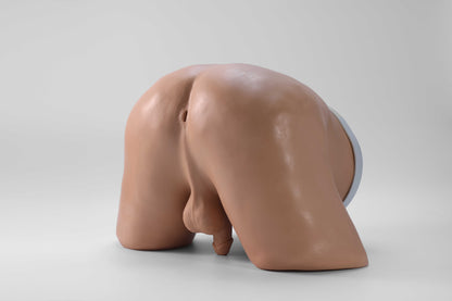 Digital Rectal Examination Model