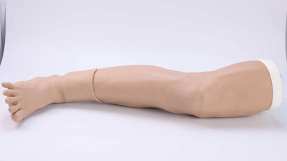 Great Saphenous Vein Incision Model