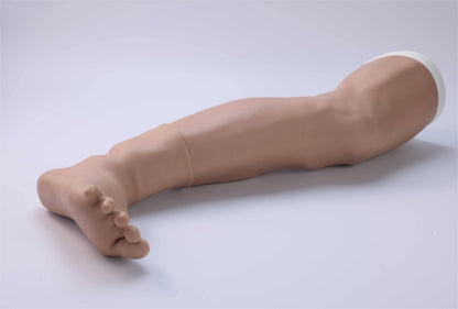 Great Saphenous Vein Incision Model