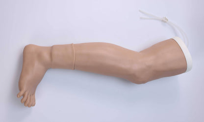 Great Saphenous Vein Incision Model