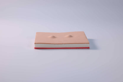 Sebaceous Cyst Removal Training Module