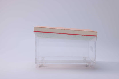 Abdominal Incision & Closure Trainer