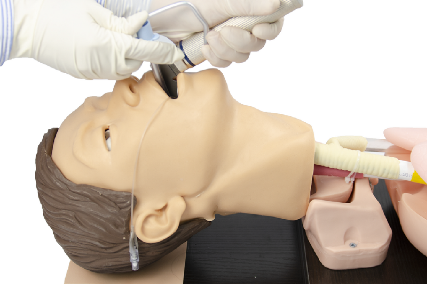 FREE SHIPPING: Adult Airway Management Model (MOQ 2 pcs)