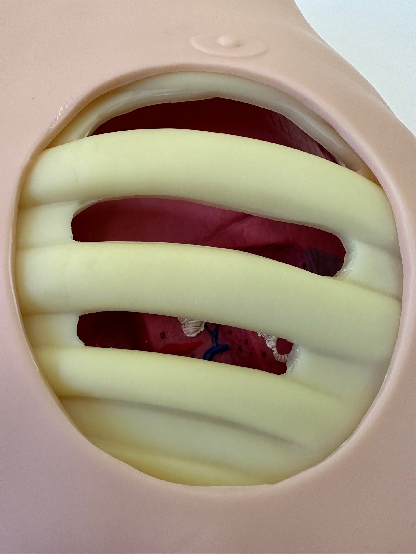 Chest Drain & Needle Decompression Trainer