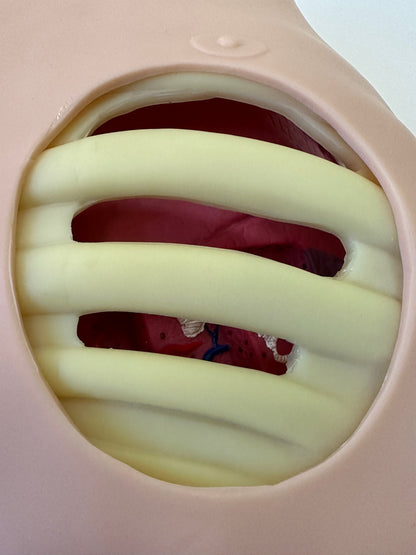 Chest Drain & Needle Decompression Trainer