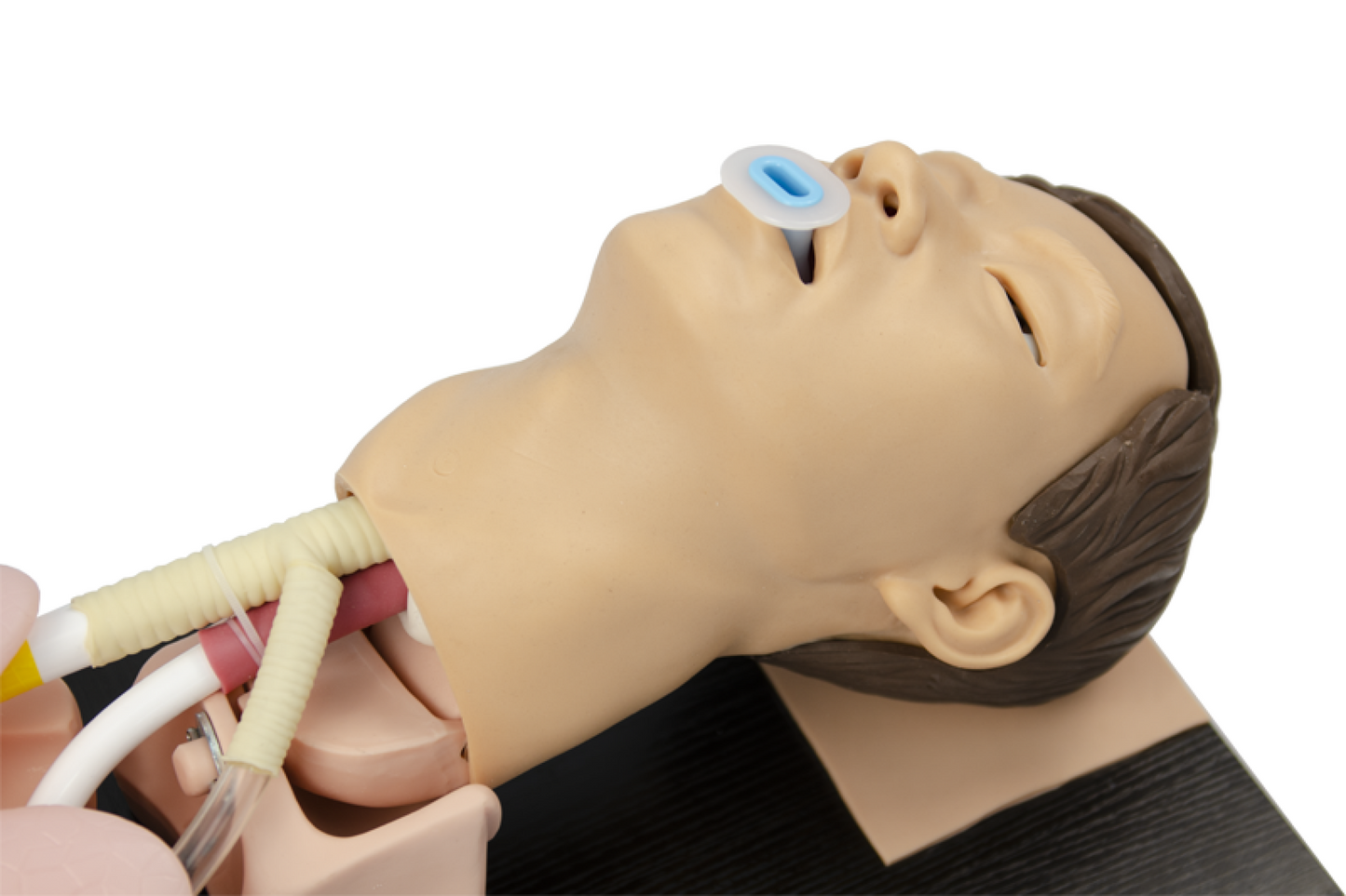 FREE SHIPPING: Adult Airway Management Model (MOQ 2 pcs)