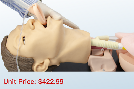 FREE SHIPPING: Adult Airway Management Model (MOQ 2 pcs)