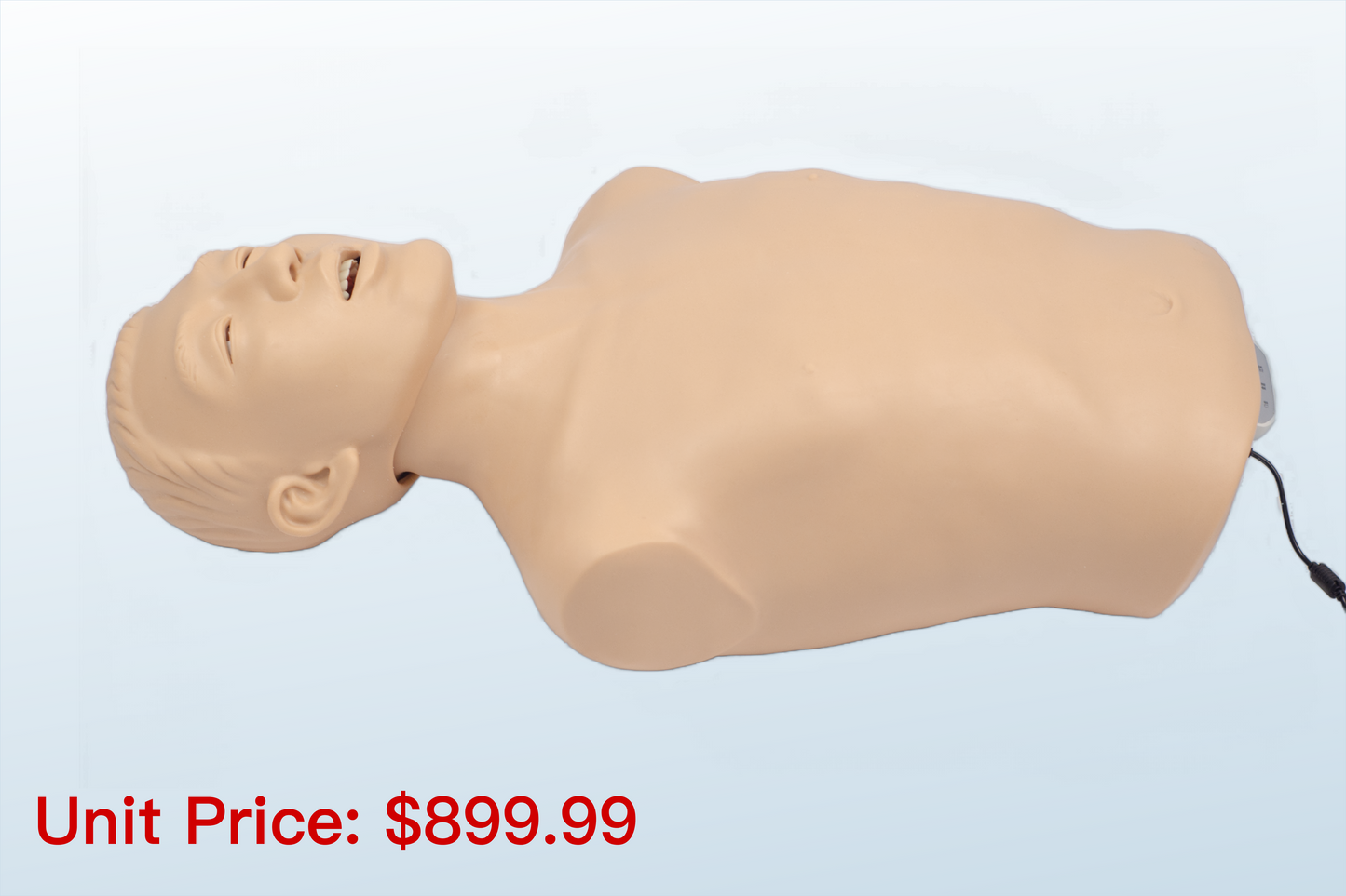 FREE SHIPPING:  Airway Management Torso(MOQ 1 pc)