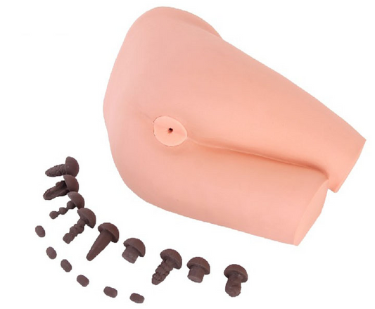 Rectal Examination Model