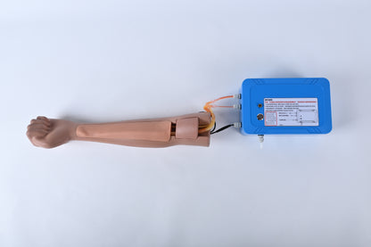 Arteriovenous Fistula Puncture Model
