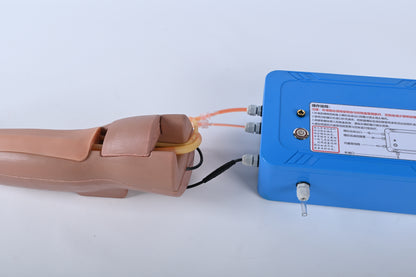 Arteriovenous Fistula Puncture Model