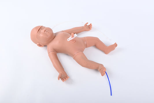 Neonatal Puncture Model