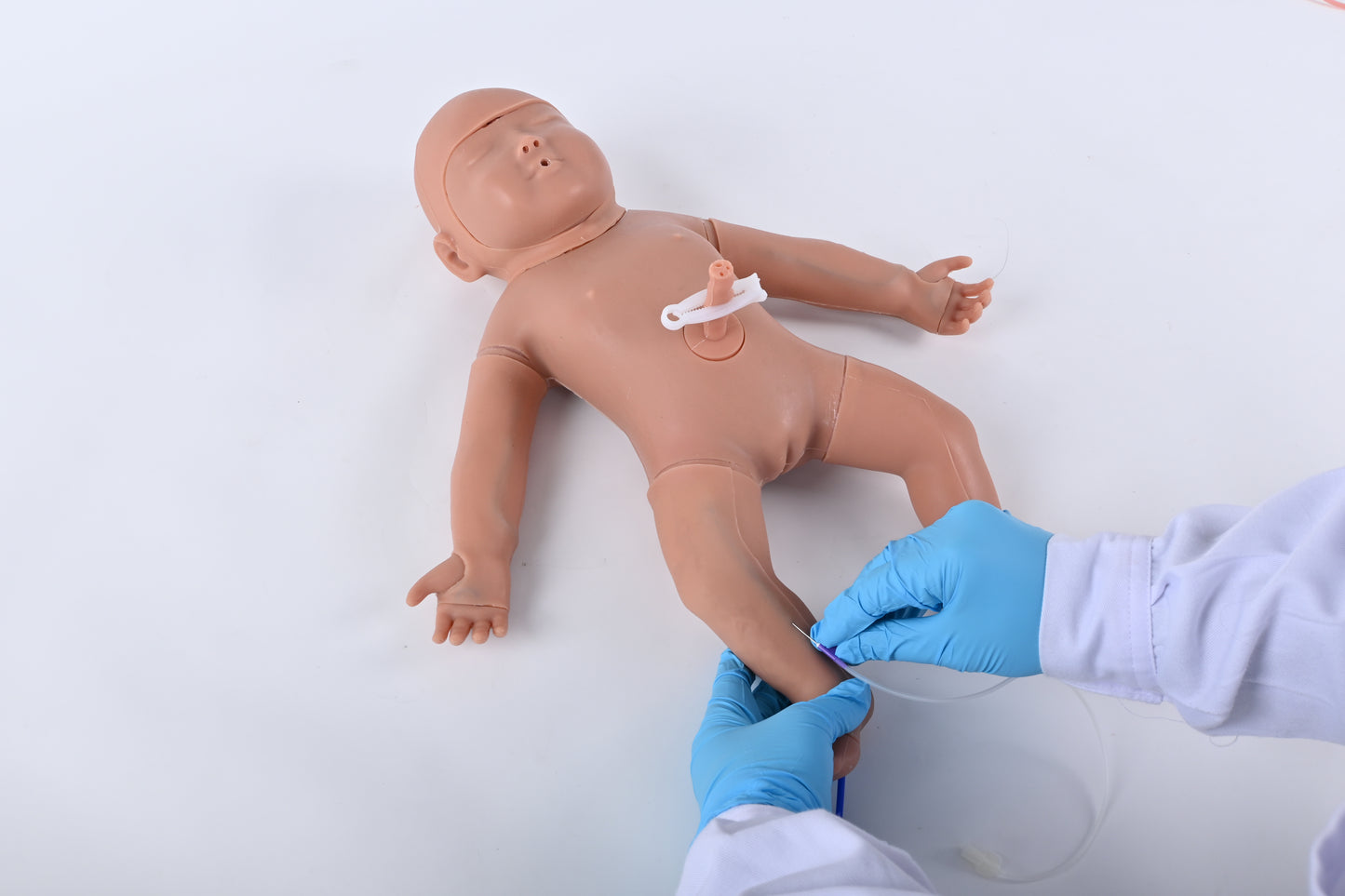 Neonatal Puncture Model