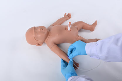 Neonatal Puncture Model