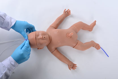 Neonatal Puncture Model