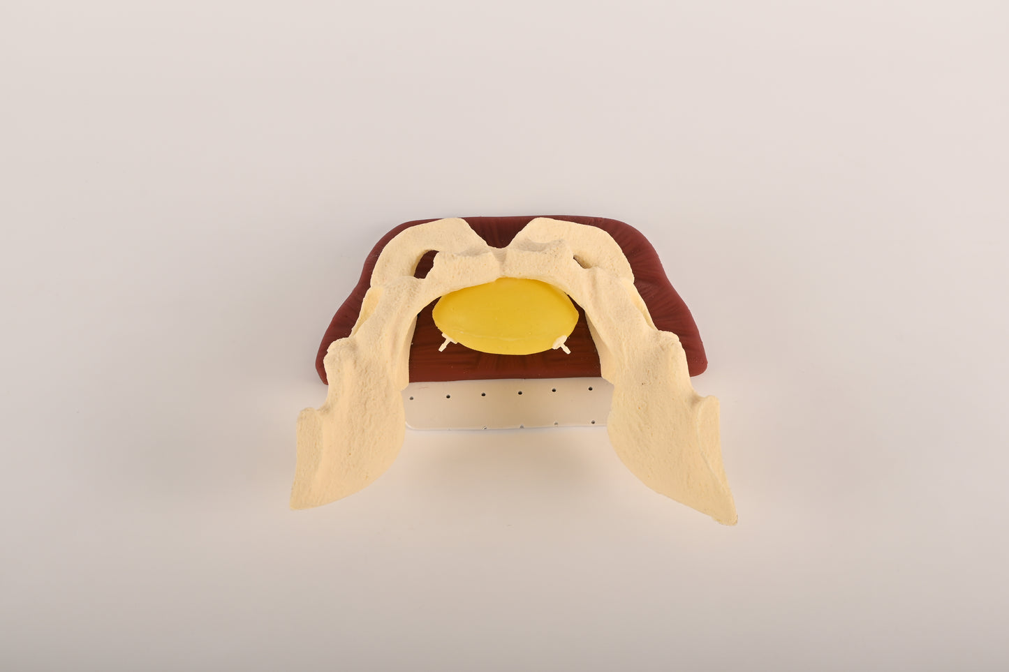 Thoracotomy and Pericardiocentesis Suit