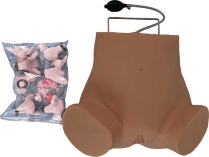 Gynecological Examination Model