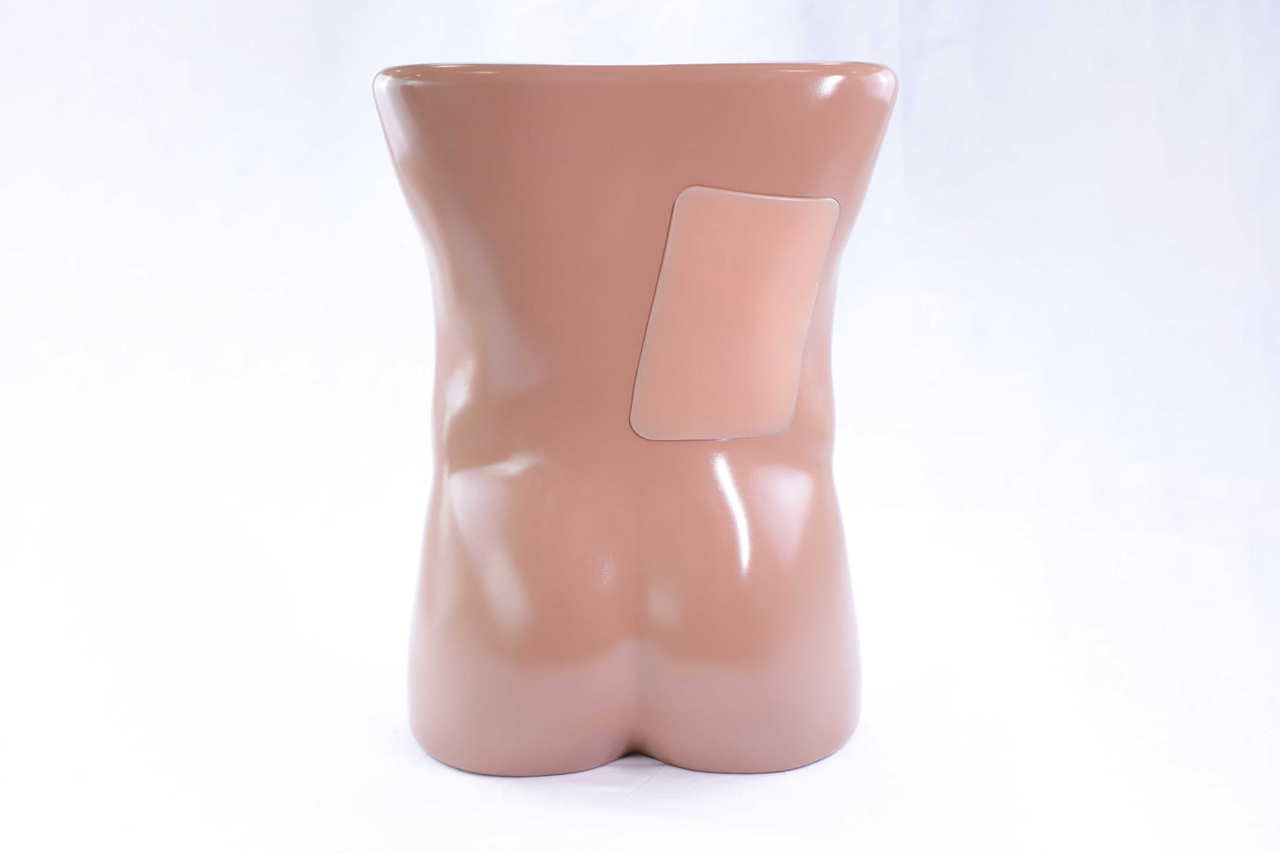 Renal Biopsy Ultrasound Training Model