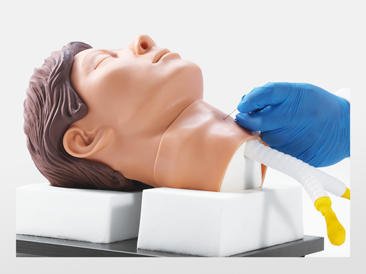 Cricothyrotomy and Tracheostomy Trainer