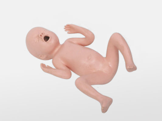 Thirty Weeks Premature Infant Model