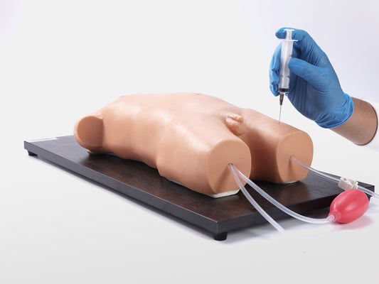 Pediatric  Femoral Vein and Artery Puncture Model