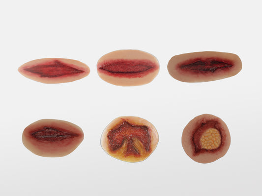 Sheet Cuts & Lacerations Moulage Halloween Zombie Scars Fake Scar Bloody Costume Makeup Halloween Decoration Terror Wound Scary Blood Simulated Simulated Combat Injuries FX Mass Casualty Trauma