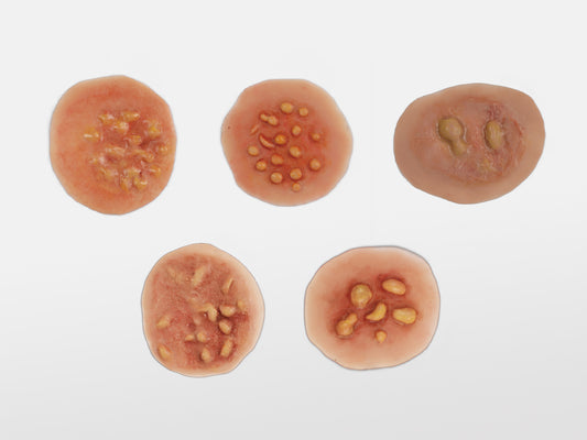 Sheet Boil/Blister Moulage Halloween Zombie Scars Fake Scar Bloody Costume Makeup Halloween Decoration Terror Wound Scary Blood Simulated Combat Injuries FX Mass Casualty Trauma