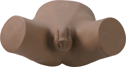 Vasectomy Training Model