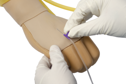 FREE SHIPPING: IV Training Arm -Standard  (MOQ 2 pcs)